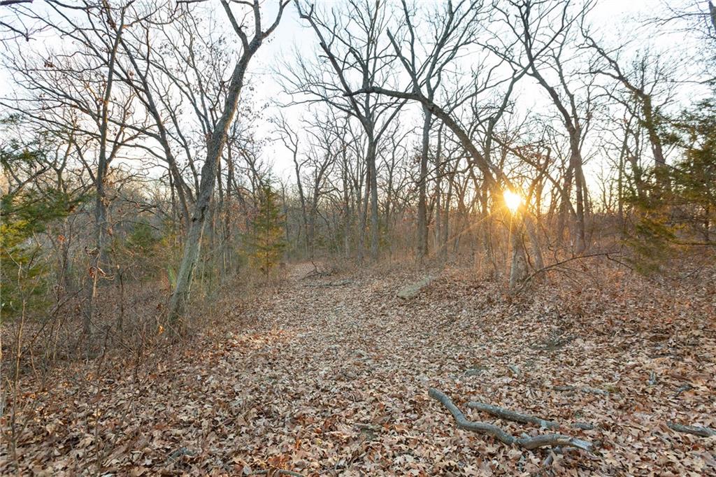 38502 East Parrent Road Oak Grove, MO 64075 - Photo 30 of 33