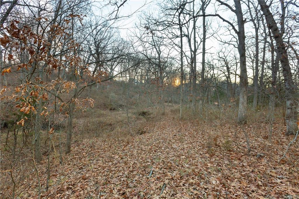 38502 East Parrent Road Oak Grove, MO 64075 - Photo 31 of 33