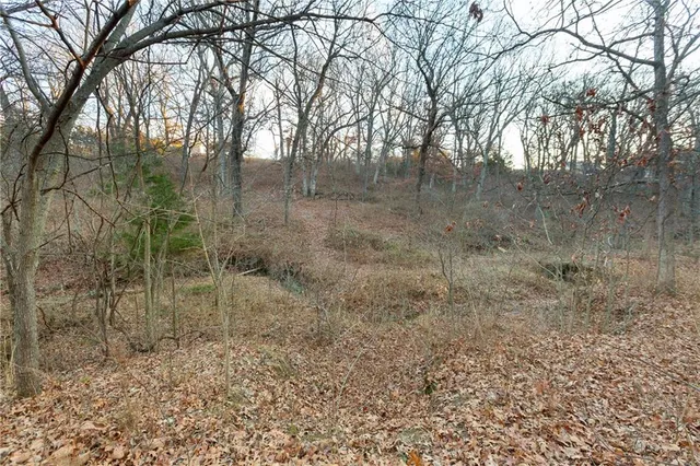 $175,000 | 38502 East Parrent Road, Oak Grove, MO 64075