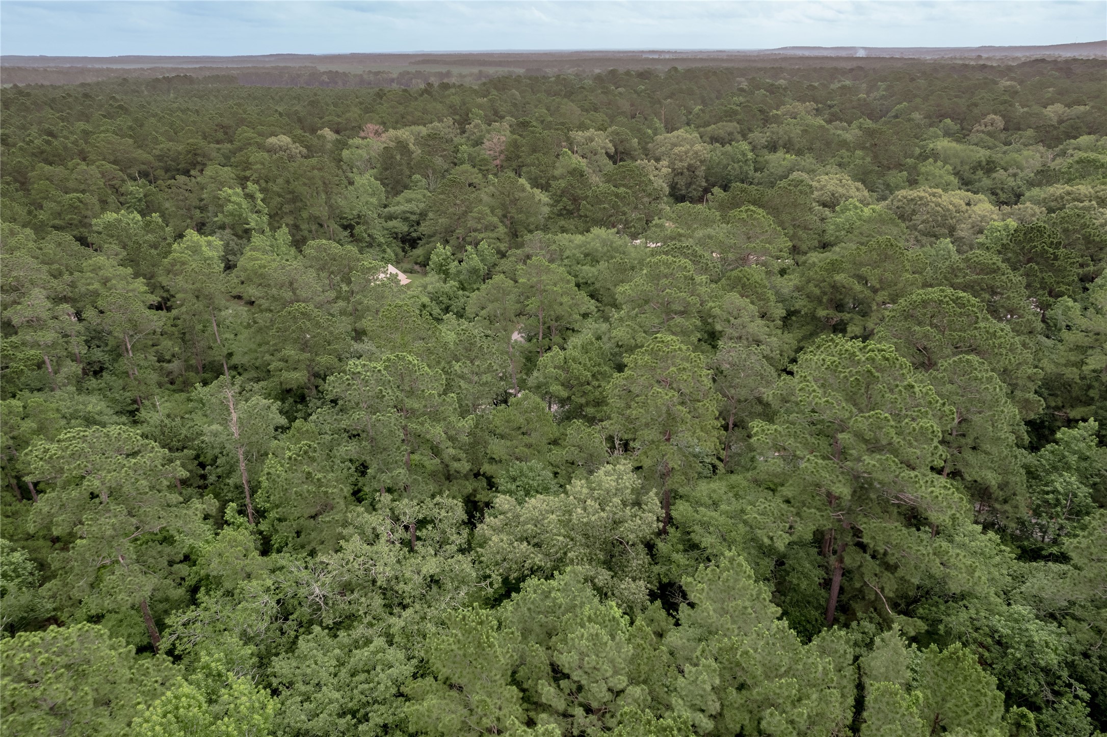 Lot 08 Oak Drive Trinity, TX 75862 - Photo 16 of 32