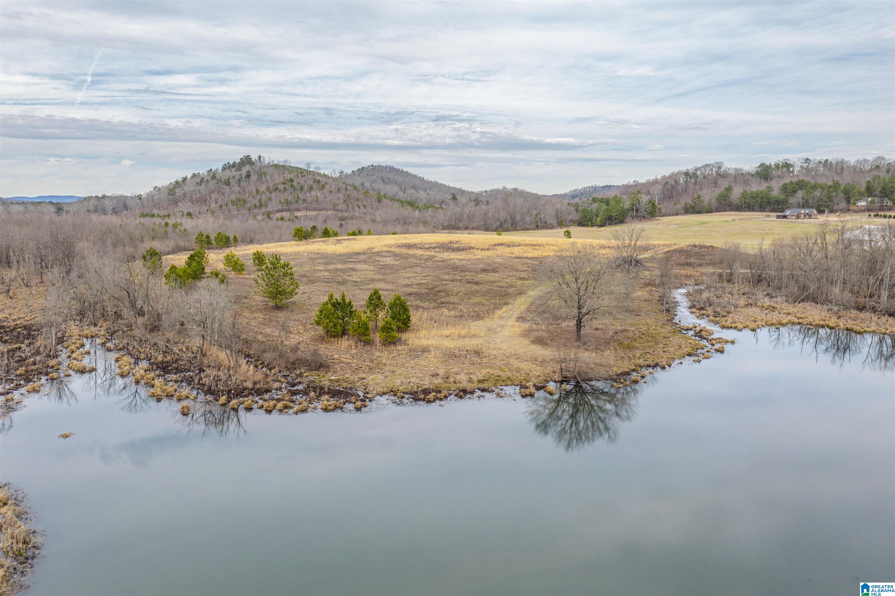 1619 Old Downing Ml Road, Unit 40 03 ACRES Anniston, AL 36207 - Photo 26 of 29