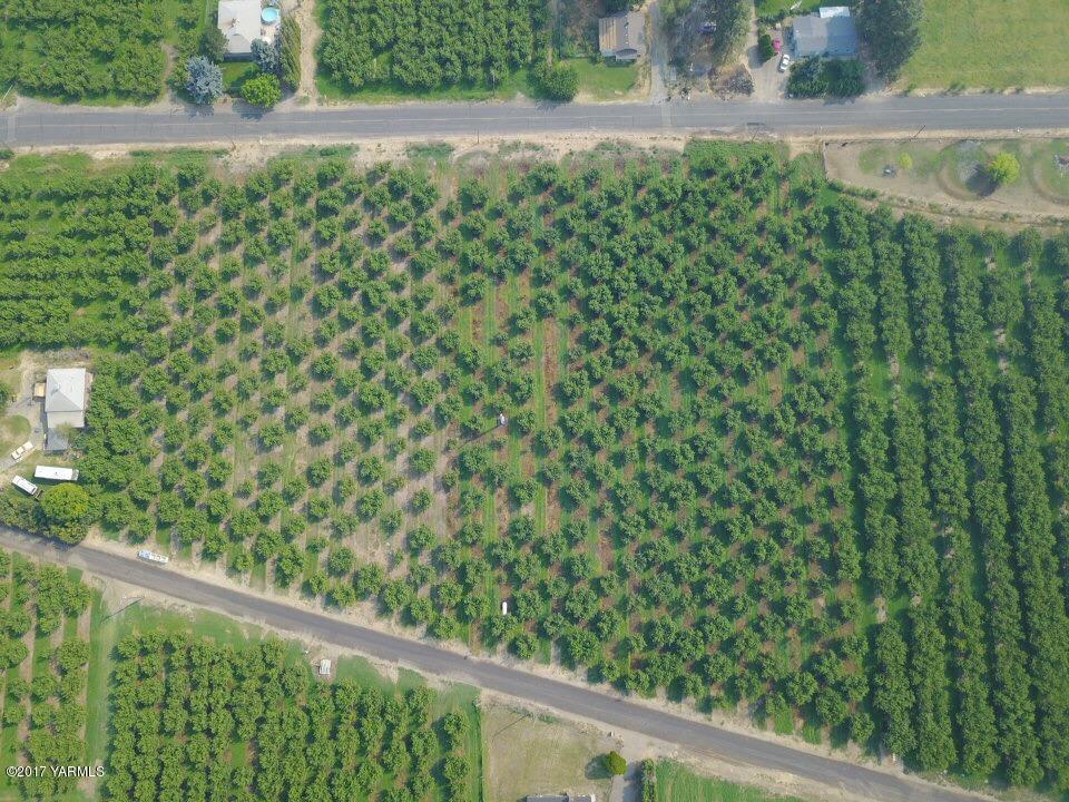 Nka Chestnut Road Grandview, WA 98930 - Photo 1 of 7 IMG_1269