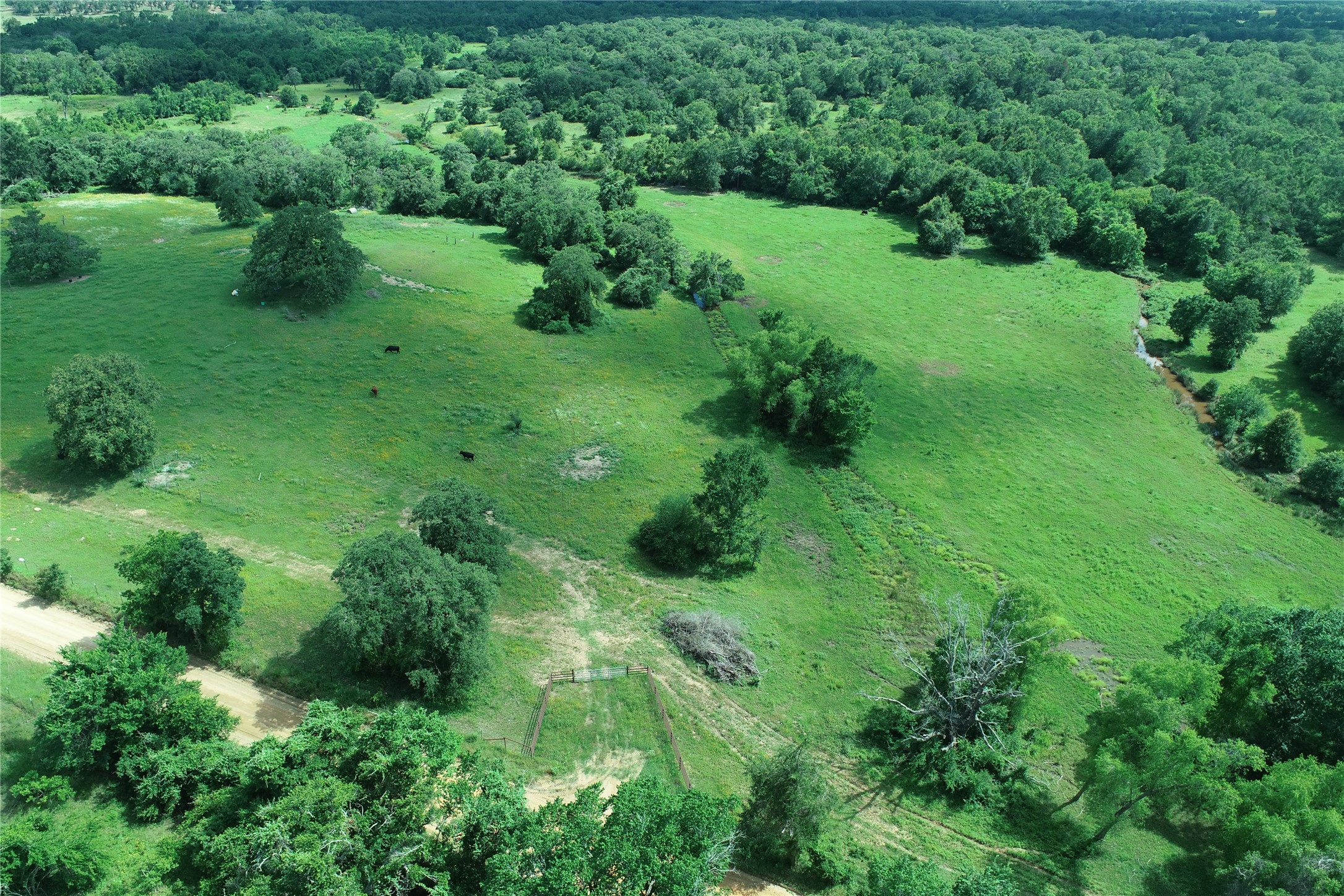 2055 Cr 342 Road Milano, TX 76556 - Photo 5 of 9
