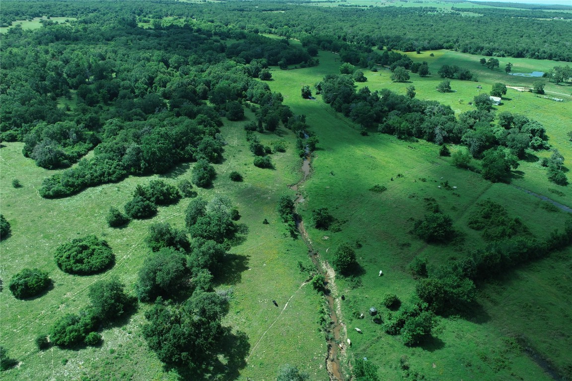 2055 Cr 342 Road Milano, TX 76556 - Photo 7 of 9 an aerial view of a house with a lush green forest