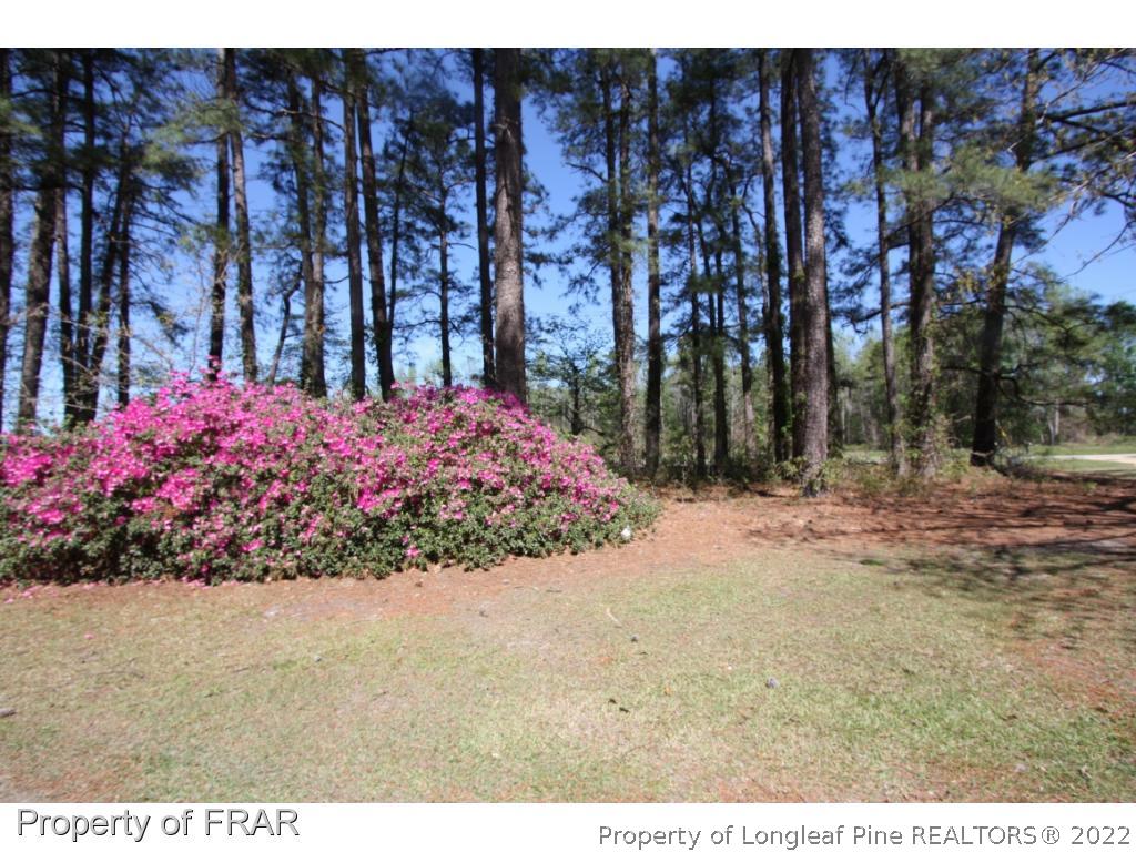 1063 Carl Freeman Road Stedman, NC 28391 - Photo 2 of 17