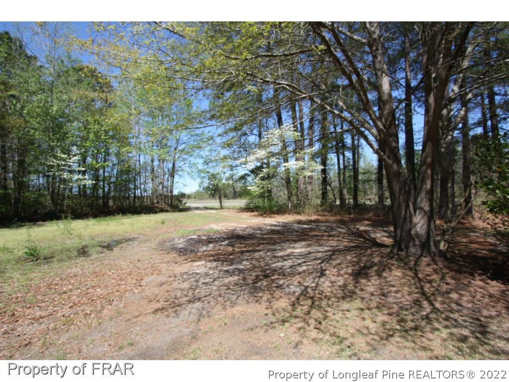 1063 Carl Freeman Road Stedman, NC 28391 - Photo 3 of 17 a view of dirt yard with a large tree