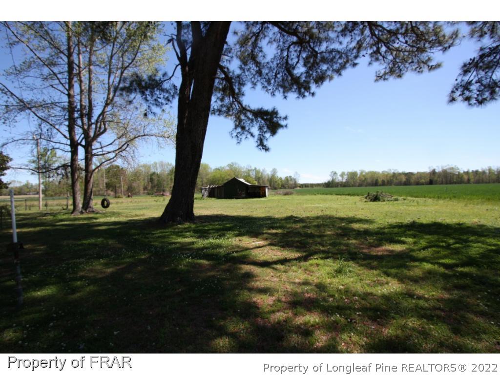 1063 Carl Freeman Road Stedman, NC 28391 - Photo 5 of 17 a view of a field with an trees