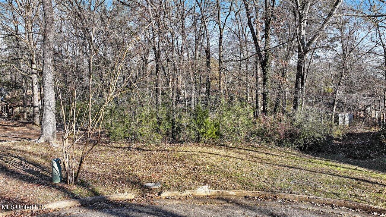 Mauri Cove Clinton, MS 39056 - Photo 1 of 6 23-Mauri Cove