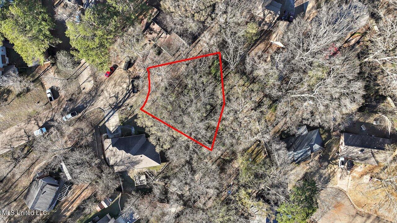 Mauri Cove Clinton, MS 39056 - Photo 3 of 6 1-Mauri Cove outlined