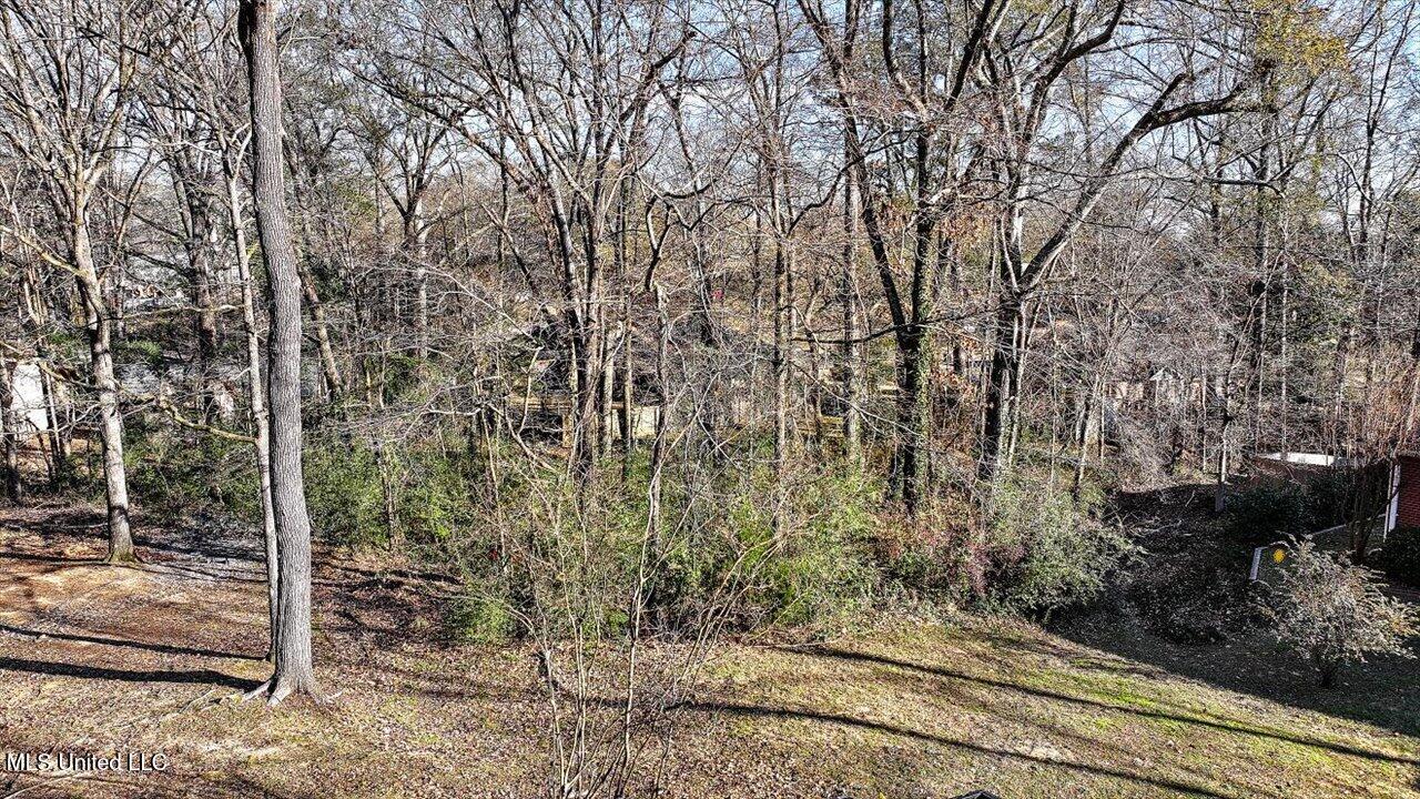 Mauri Cove Clinton, MS 39056 - Photo 4 of 6 03-Mauri Cove