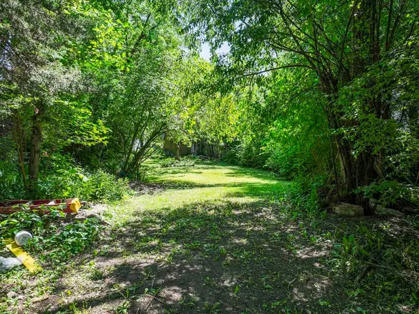 a view of a park with a trees