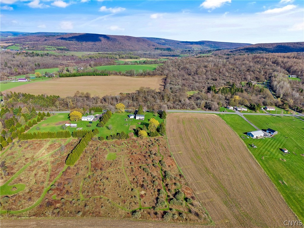 1085 Shackham Road Fabius, NY 13063 - Photo 42 of 46