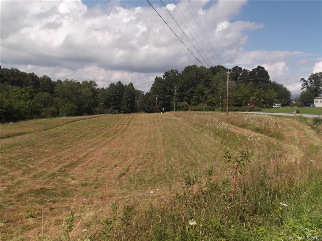1726 Pace Road Hendersonville, NC 28792 - Photo 2 of 2