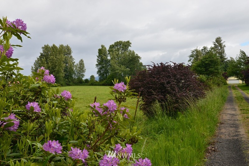 245 West Little Island Road Cathlamet, WA 98612 - Photo 6 of 17 Gallery Image 6