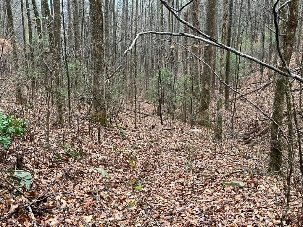 Tbd Burrell Mountain Road Murphy, NC 28906 - Photo 27 of 28