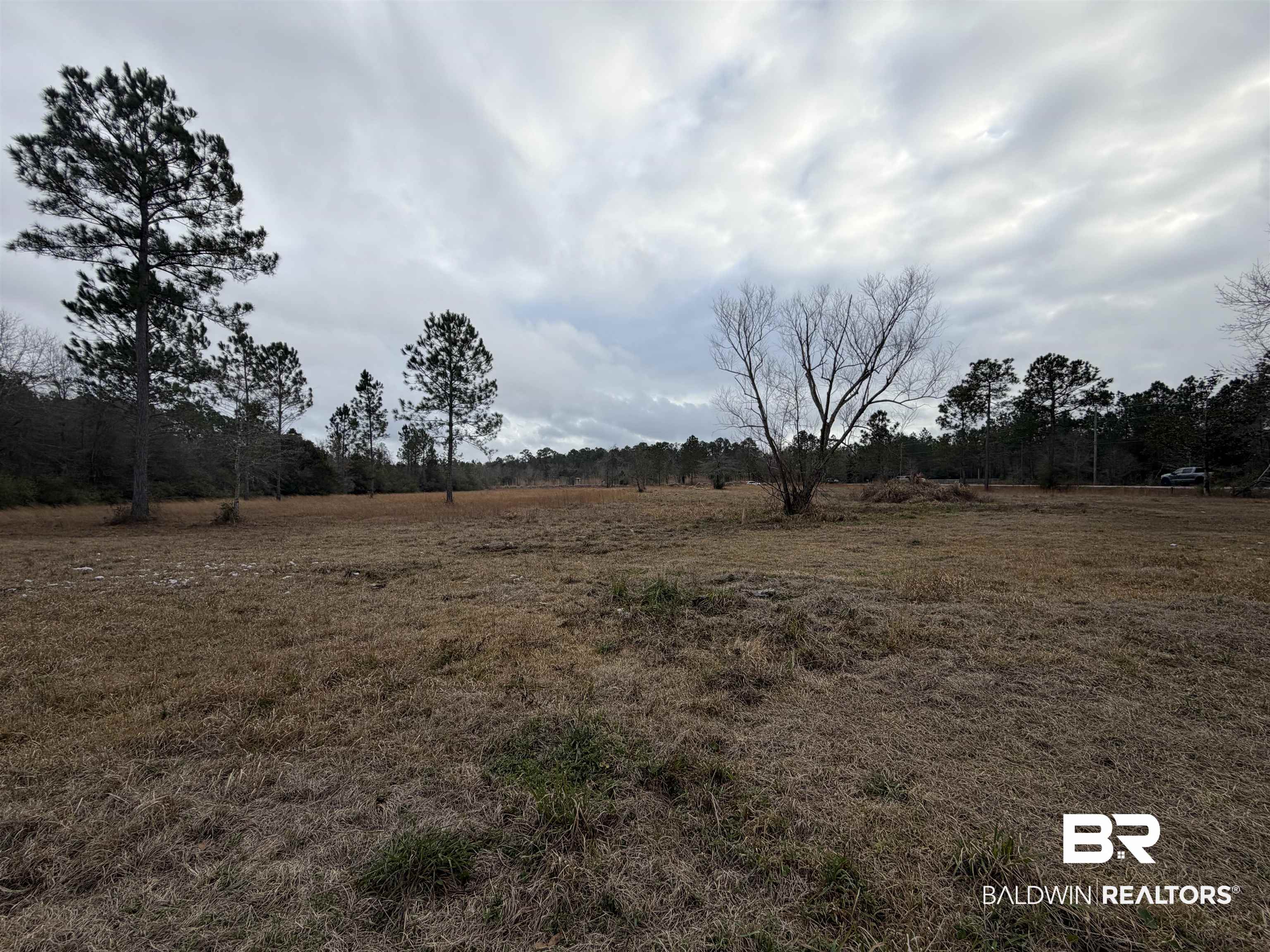 10585 Bellingrath Road Theodore, AL 36582 - Photo 6 of 14 View of yard featuring a view of rural / pastoral area