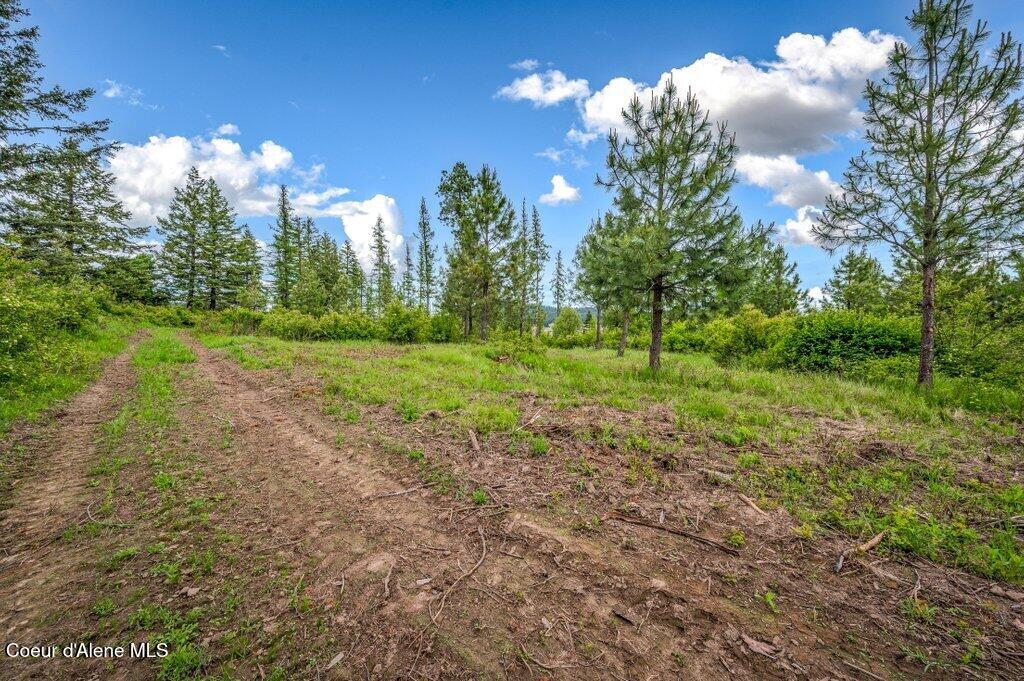 1 Freedom Way Road Plummer, ID 83851 - Photo 31 of 34 --42.jpg-SMALL
