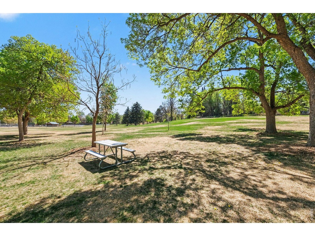 105 Columbia Road Fort Collins, CO 80525 - Photo 33 of 36