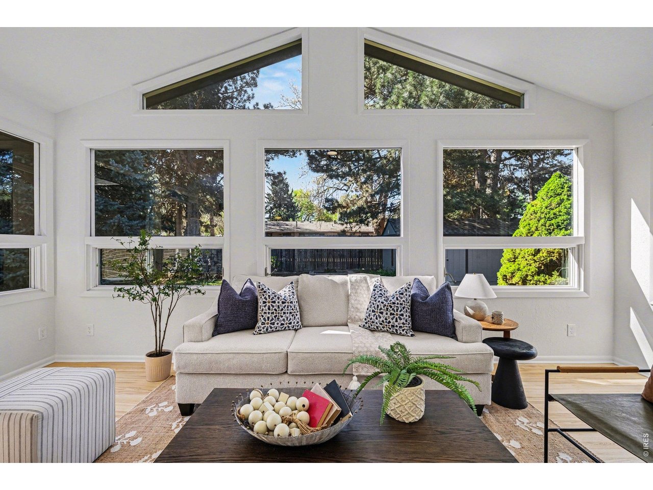 105 Columbia Road Fort Collins, CO 80525 - Photo 9 of 36