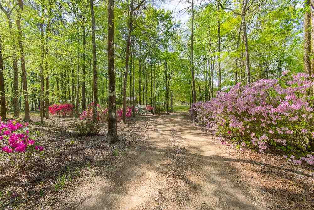 516 North Spring Lake Circle Terry, MS 39170 - Photo 32 of 36 Photo 33