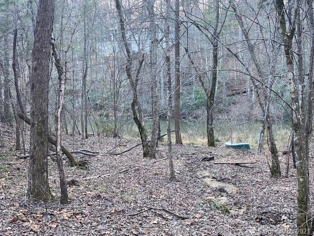 0 Mallard Road, Unit 357 Lake Lure, NC 28746 - Photo 2 of 28 Gallery Image 2