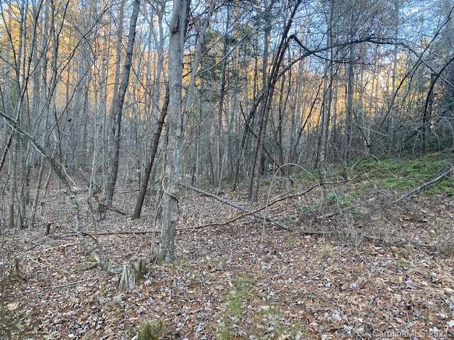 0 Mallard Road, Unit 357 Lake Lure, NC 28746 - Photo 12 of 28 Gallery Image 12