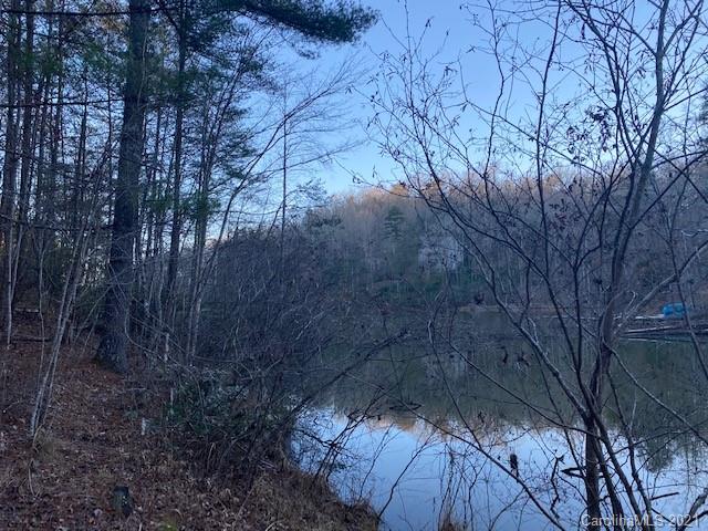 0 Mallard Road, Unit 357 Lake Lure, NC 28746 - Photo 13 of 28 Gallery Image 13