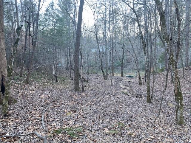 0 Mallard Road, Unit 357 Lake Lure, NC 28746 - Photo 5 of 28 Gallery Image 5