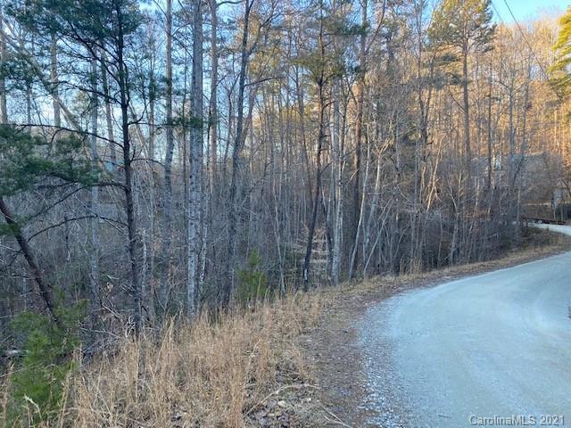 0 Mallard Road, Unit 357 Lake Lure, NC 28746 - Photo 7 of 28 Gallery Image 7