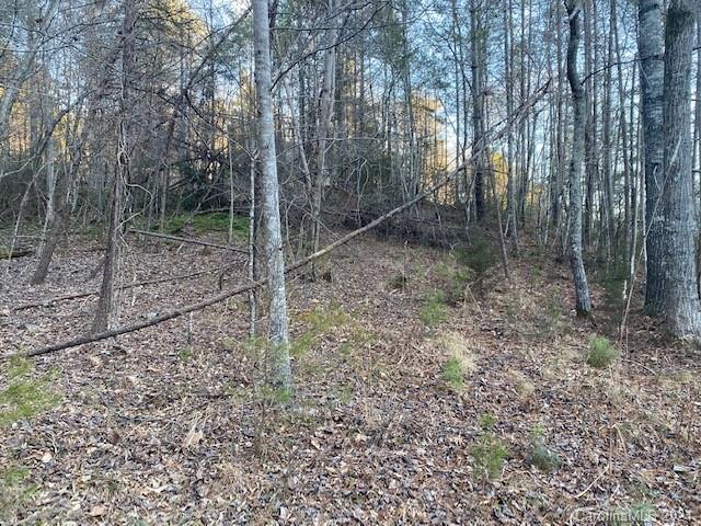 0 Mallard Road, Unit 357 Lake Lure, NC 28746 - Photo 9 of 28 Gallery Image 9