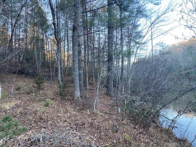 0 Mallard Road, Unit 357 Lake Lure, NC 28746 - Photo 10 of 28 Gallery Image 10