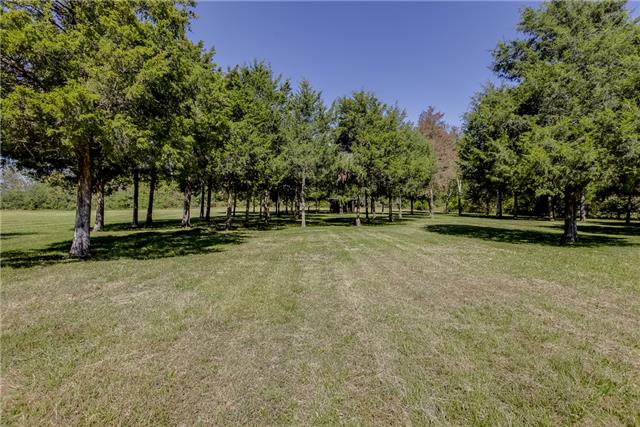 4305 Cedar Grove Road Murfreesboro, TN 37127 - Photo 19 of 20 There's a wooded area in the back yard that provides shade and a park-like setting!