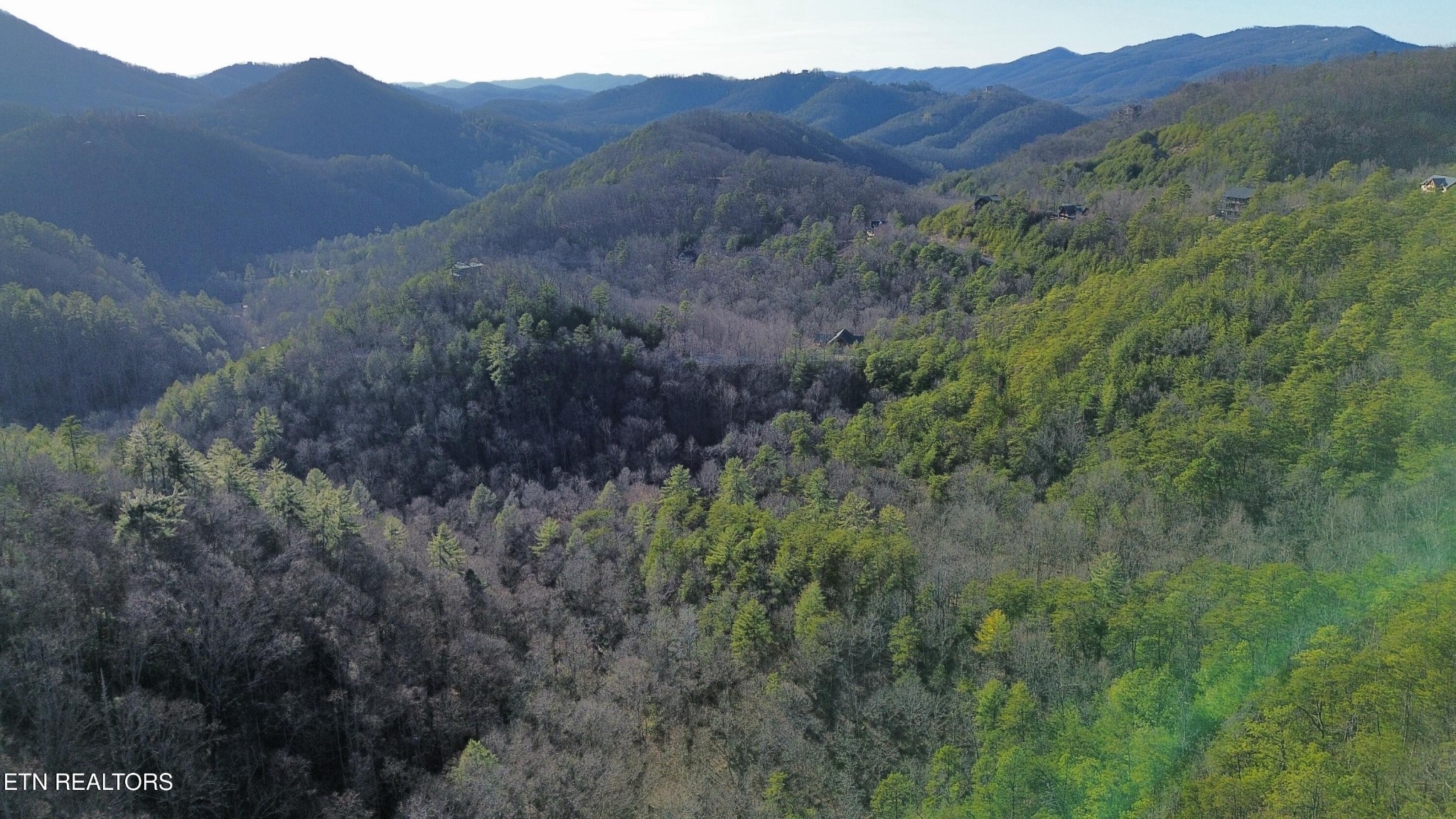 0 Stackstone Road Sevierville, TN 37862 - Photo 14 of 21 a view of a forest with a forest
