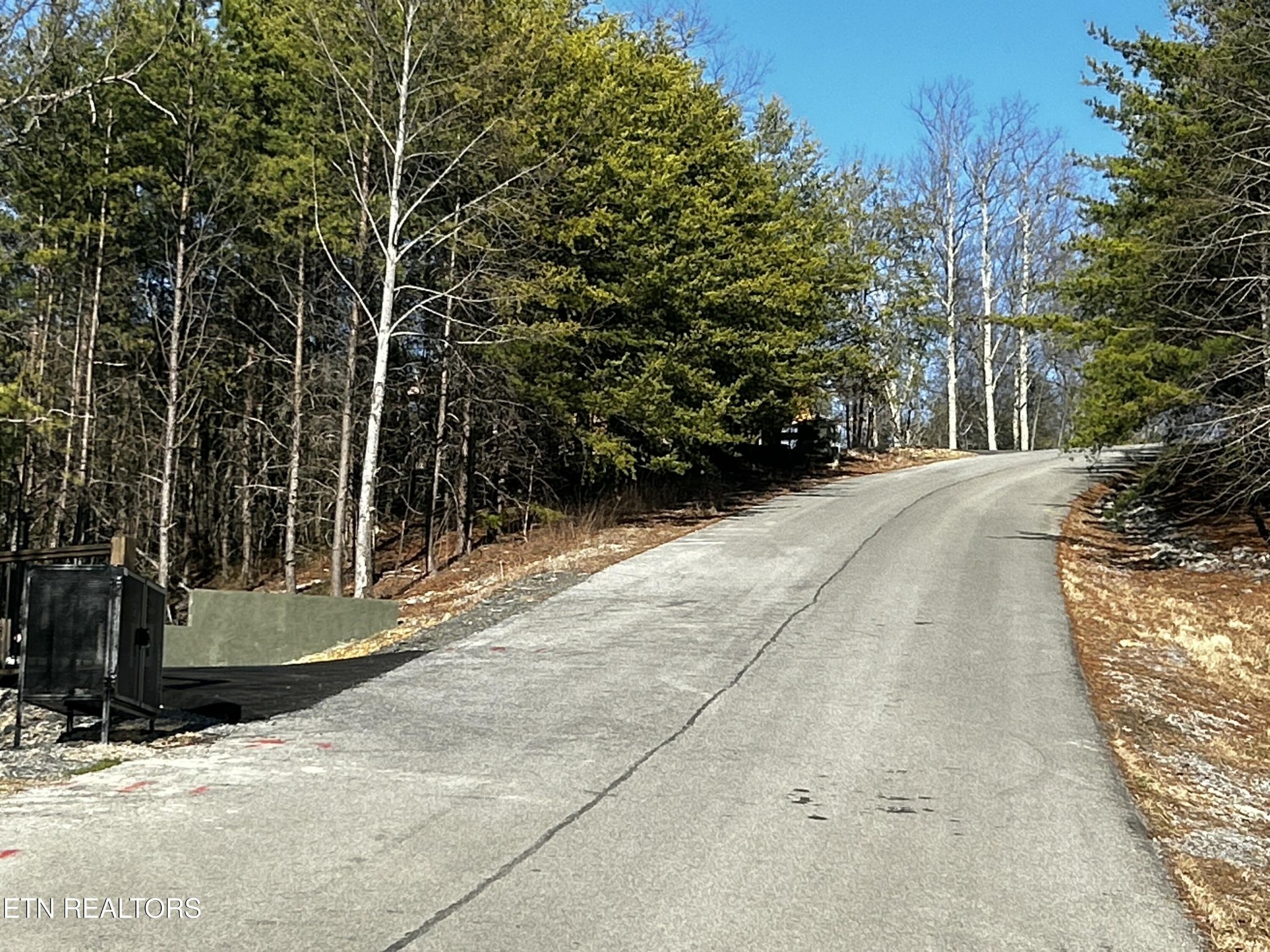 0 Stackstone Road Sevierville, TN 37862 - Photo 17 of 21 a view of a yard with plants and trees
