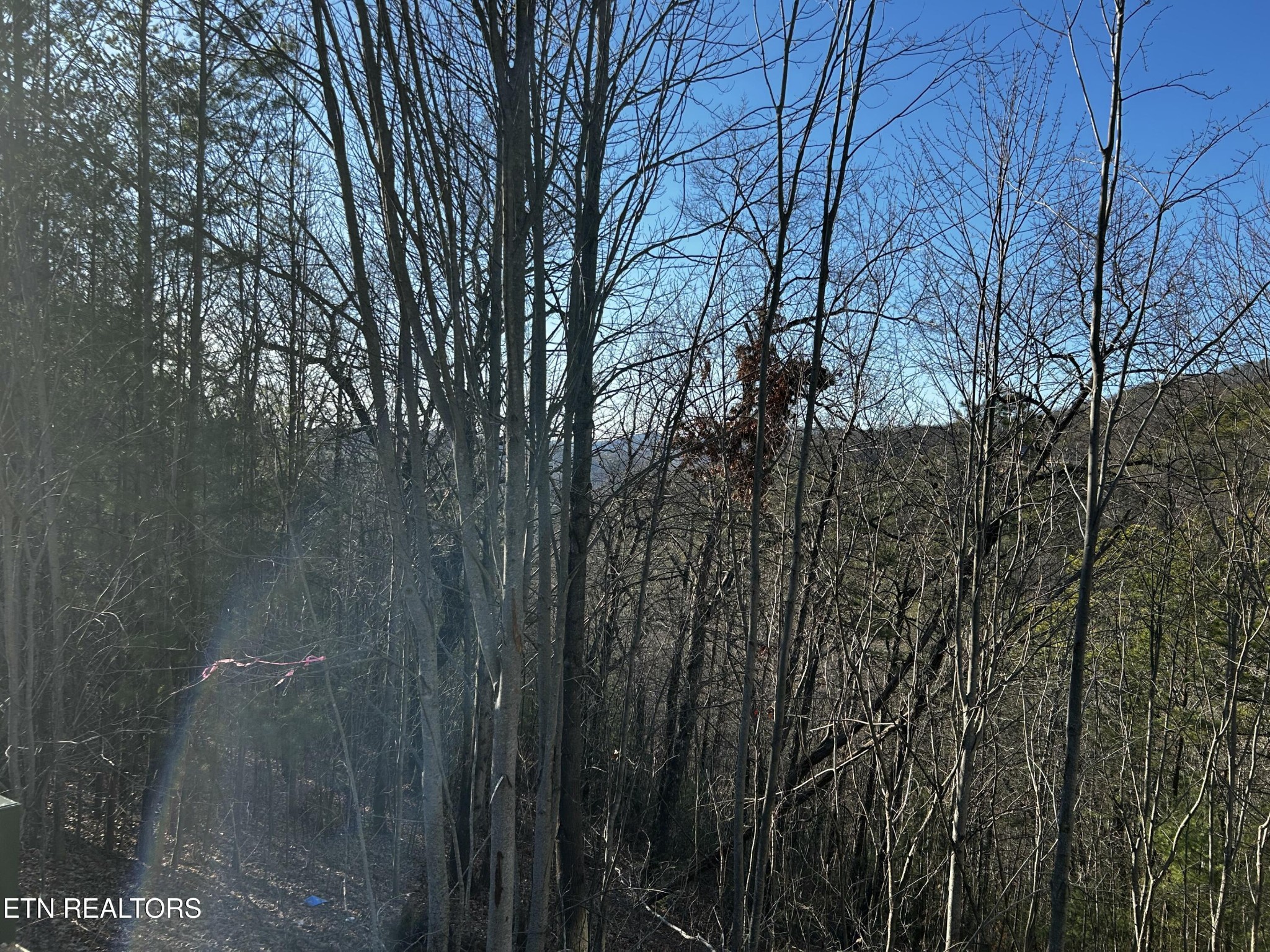 0 Stackstone Road Sevierville, TN 37862 - Photo 19 of 21 a view of a yard with a tree