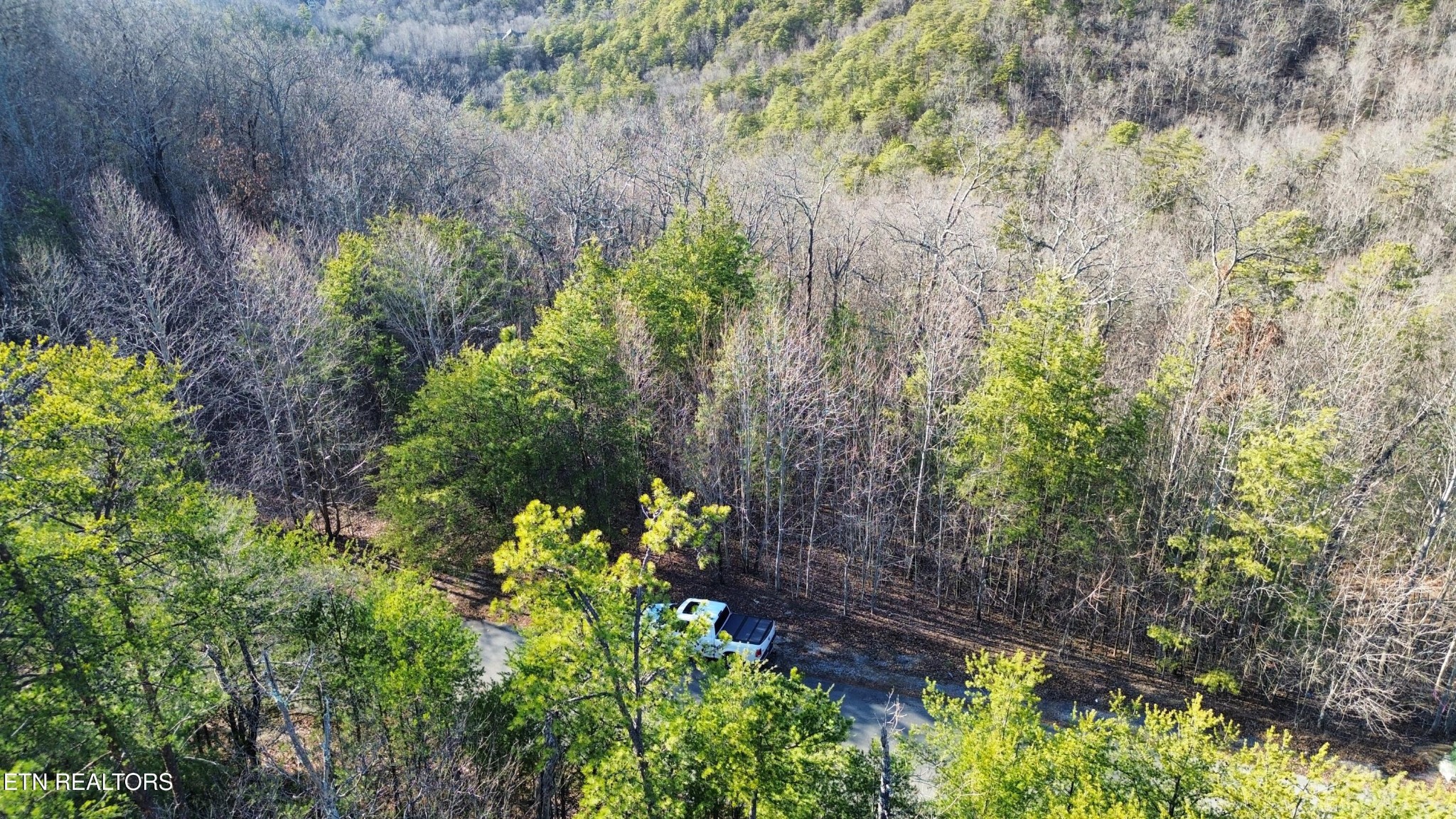 0 Stackstone Road Sevierville, TN 37862 - Photo 3 of 21 a plant that is in a garden