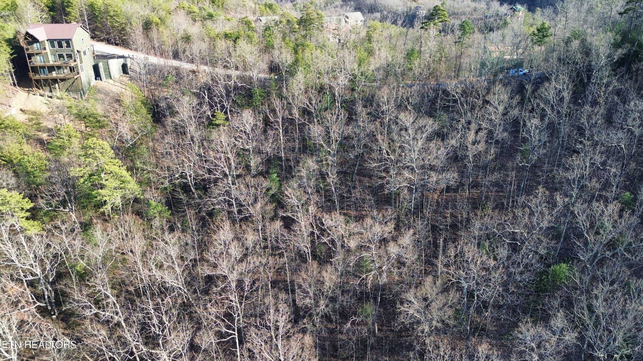 0 Stackstone Road Sevierville, TN 37862 - Photo 8 of 21 a view of a forest with a tree