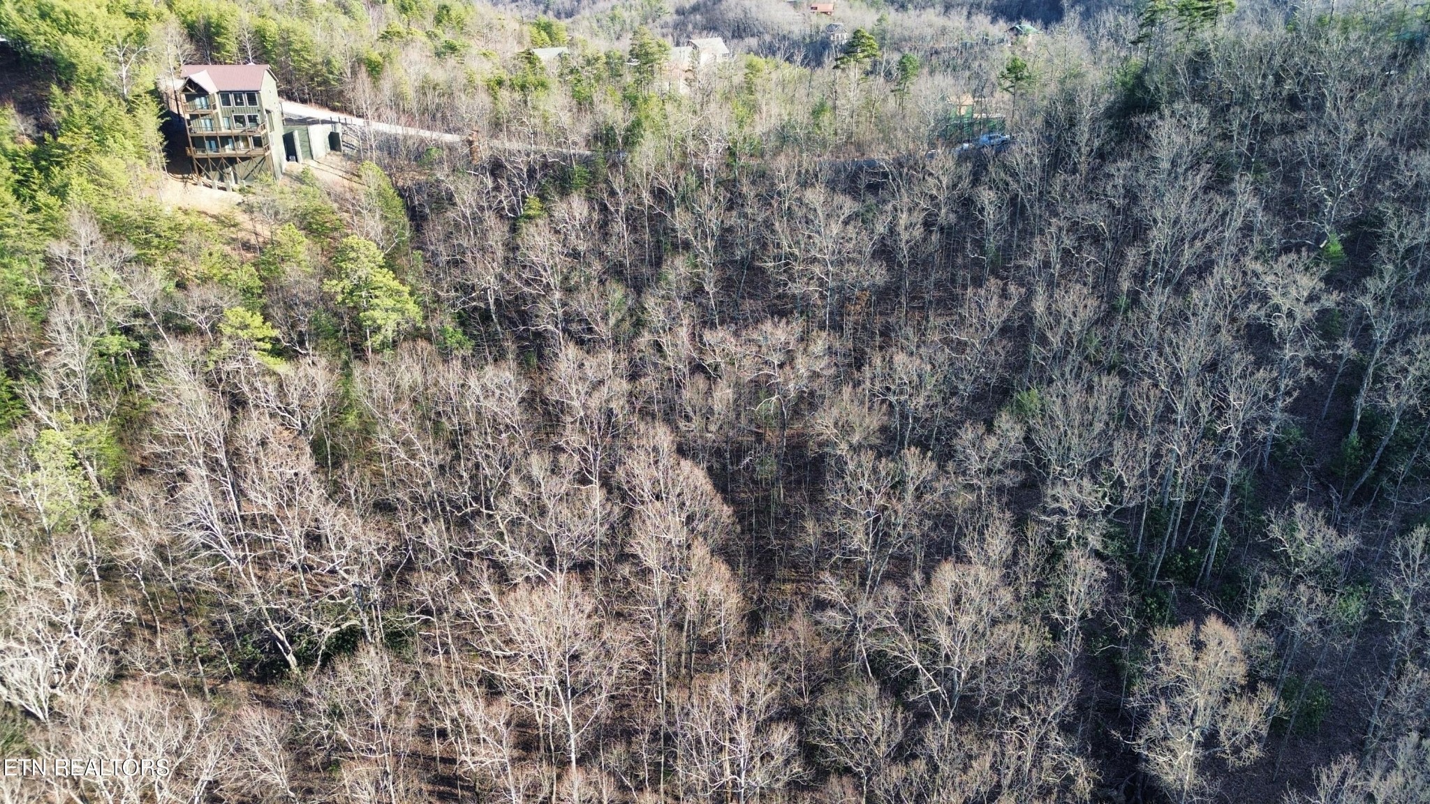 0 Stackstone Road Sevierville, TN 37862 - Photo 9 of 21 a view of a forest with a tree