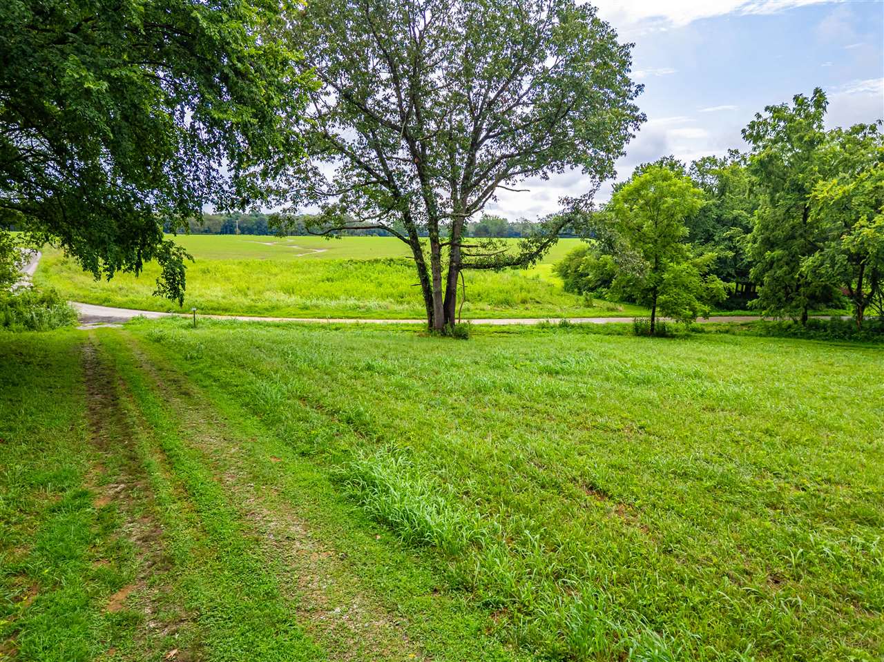 98 Pinson Road Lewisburg, KY 42256 - Photo 26 of 32 Gallery Image 26
