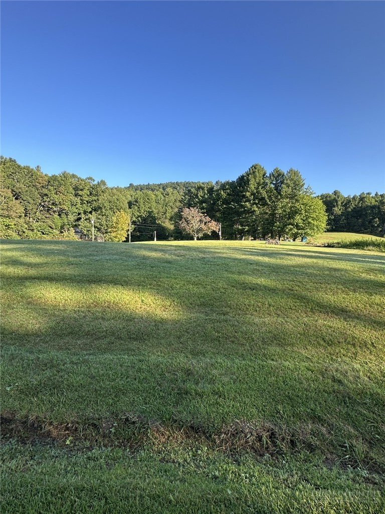 Tbd Lot 2 Tbd Road Crumpler, NC 28617 - Photo 3 of 10 Gallery Image 3