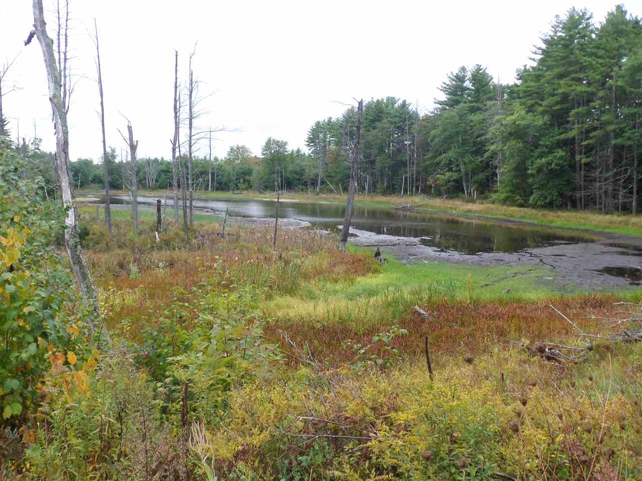 38 Villager Road Chester, NH 03036 - Photo 29 of 29