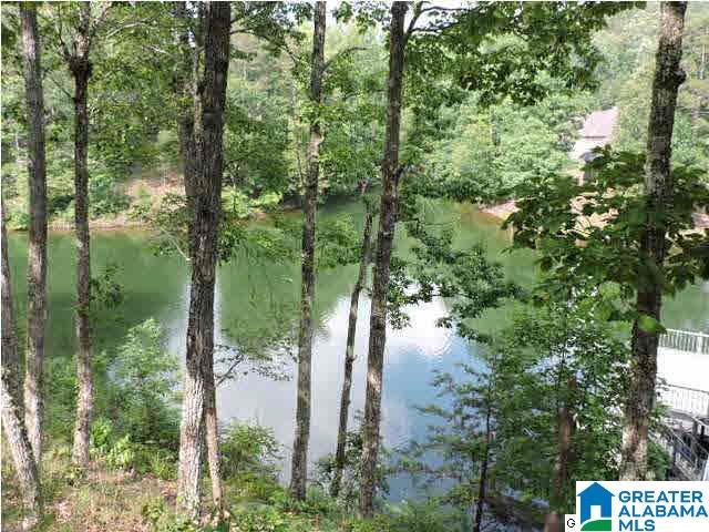 210 Dogwood Ridge North Wedowee, AL 36278 - Photo 14 of 16