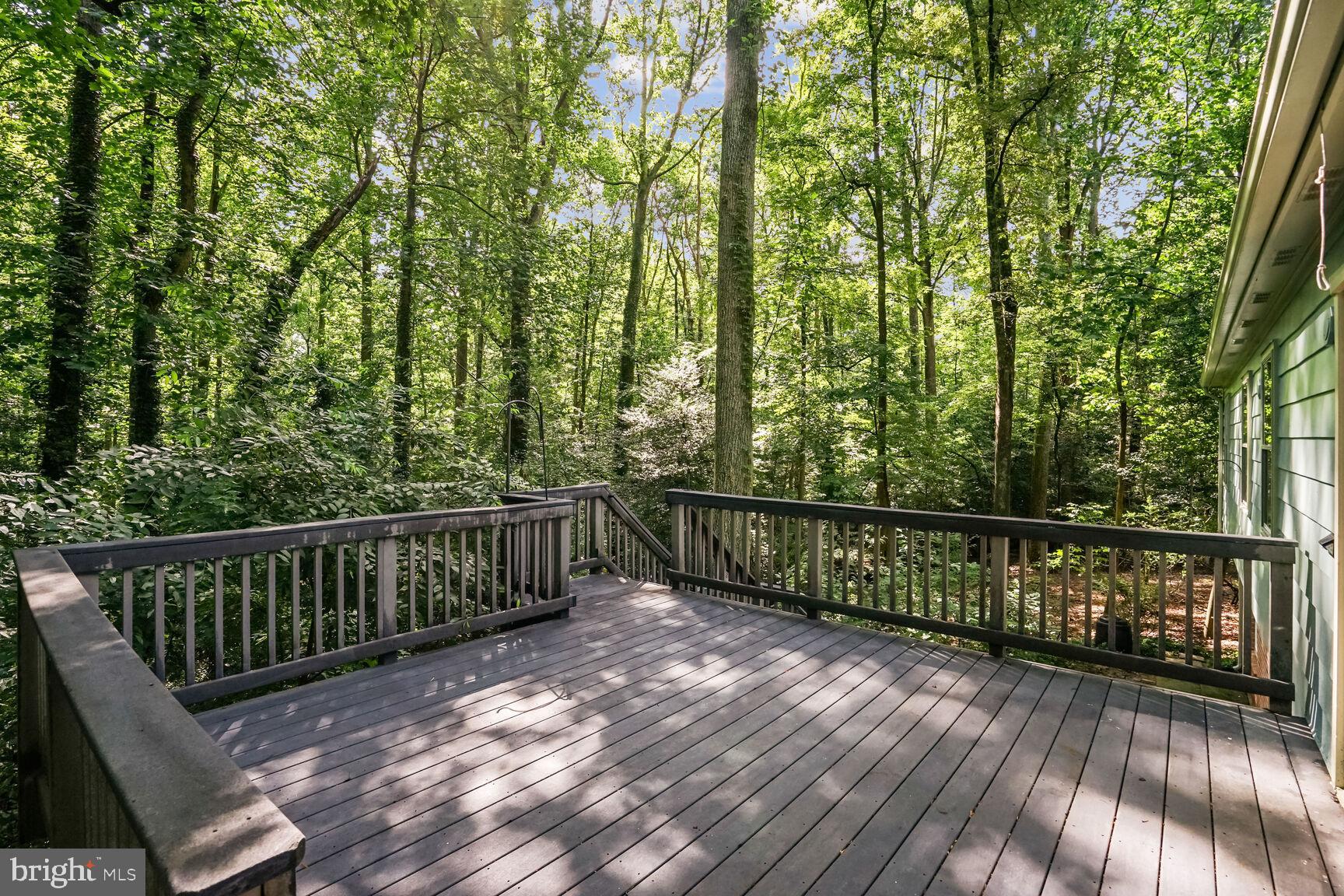 2501 Goldcup Lane Reston, VA 20191 - Photo 25 of 25
