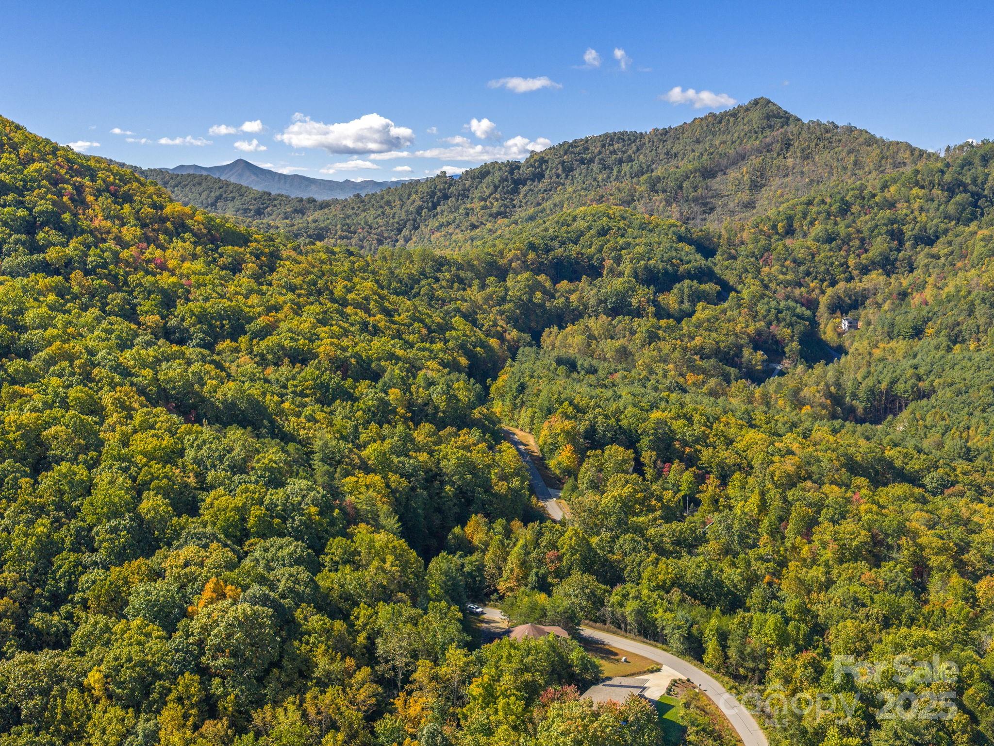 85 Balsamwood Road Leicester, NC 28748 - Photo 31 of 31