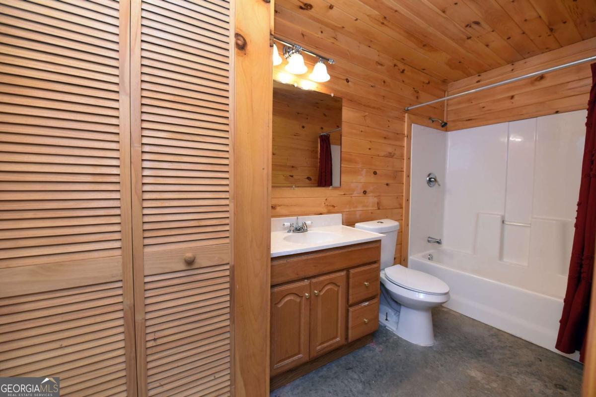 3373 Hardscrabble Road Mineral Bluff, GA 30559 - Photo 47 of 50 a bathroom with a sink a toilet and shower