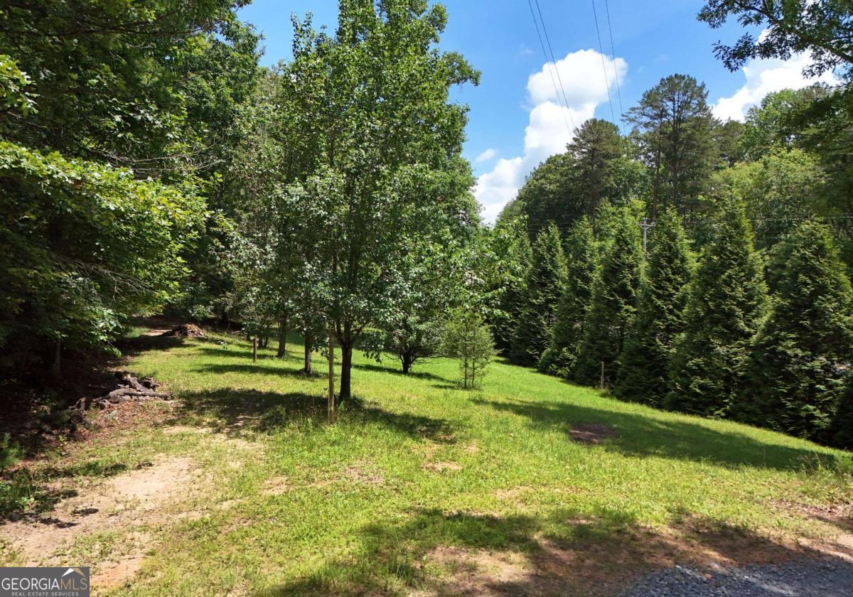 3373 Hardscrabble Road Mineral Bluff, GA 30559 - Photo 6 of 50 a view of a golf course with a yard
