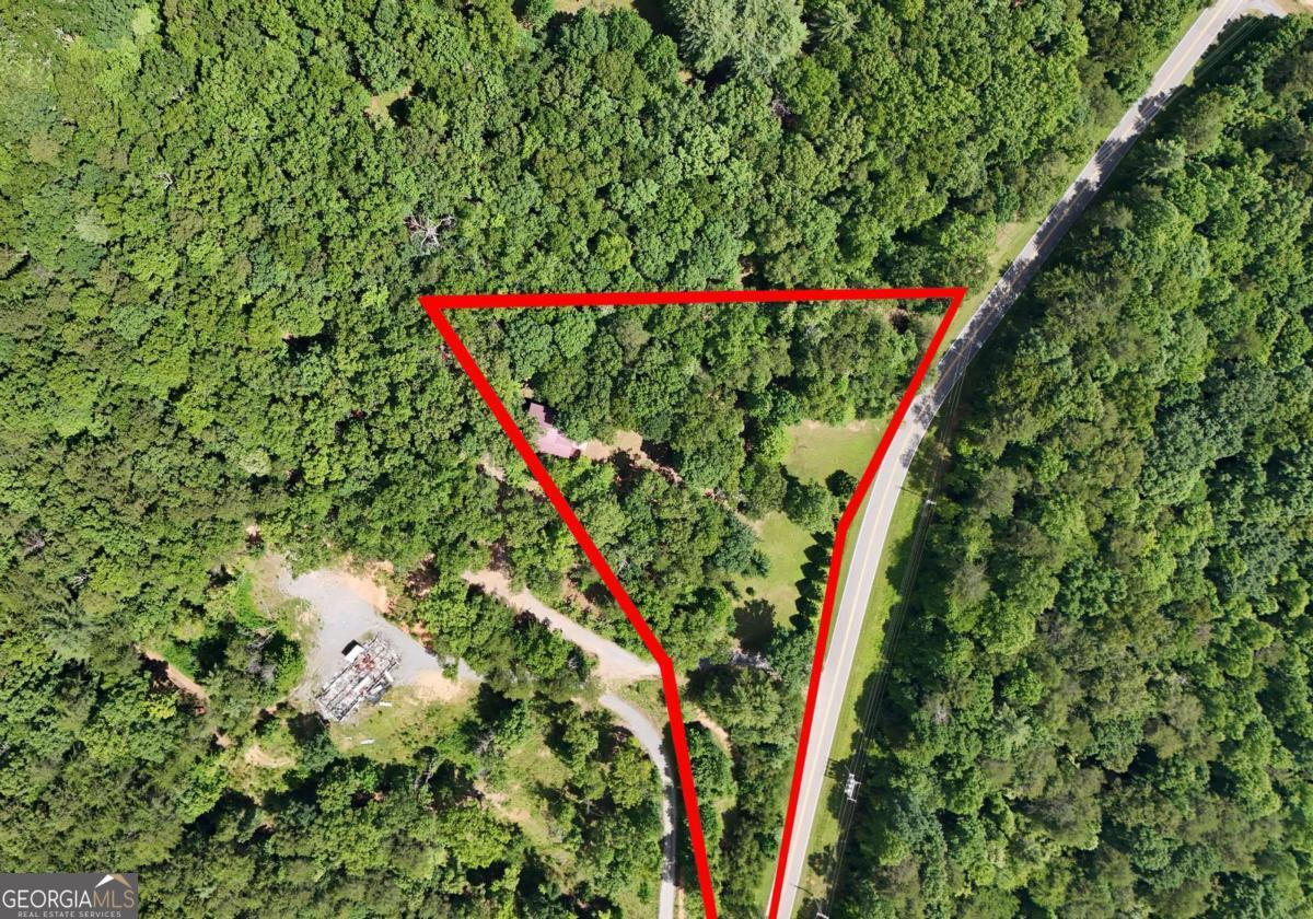 3373 Hardscrabble Road Mineral Bluff, GA 30559 - Photo 10 of 50 a close up of a plant and flowers