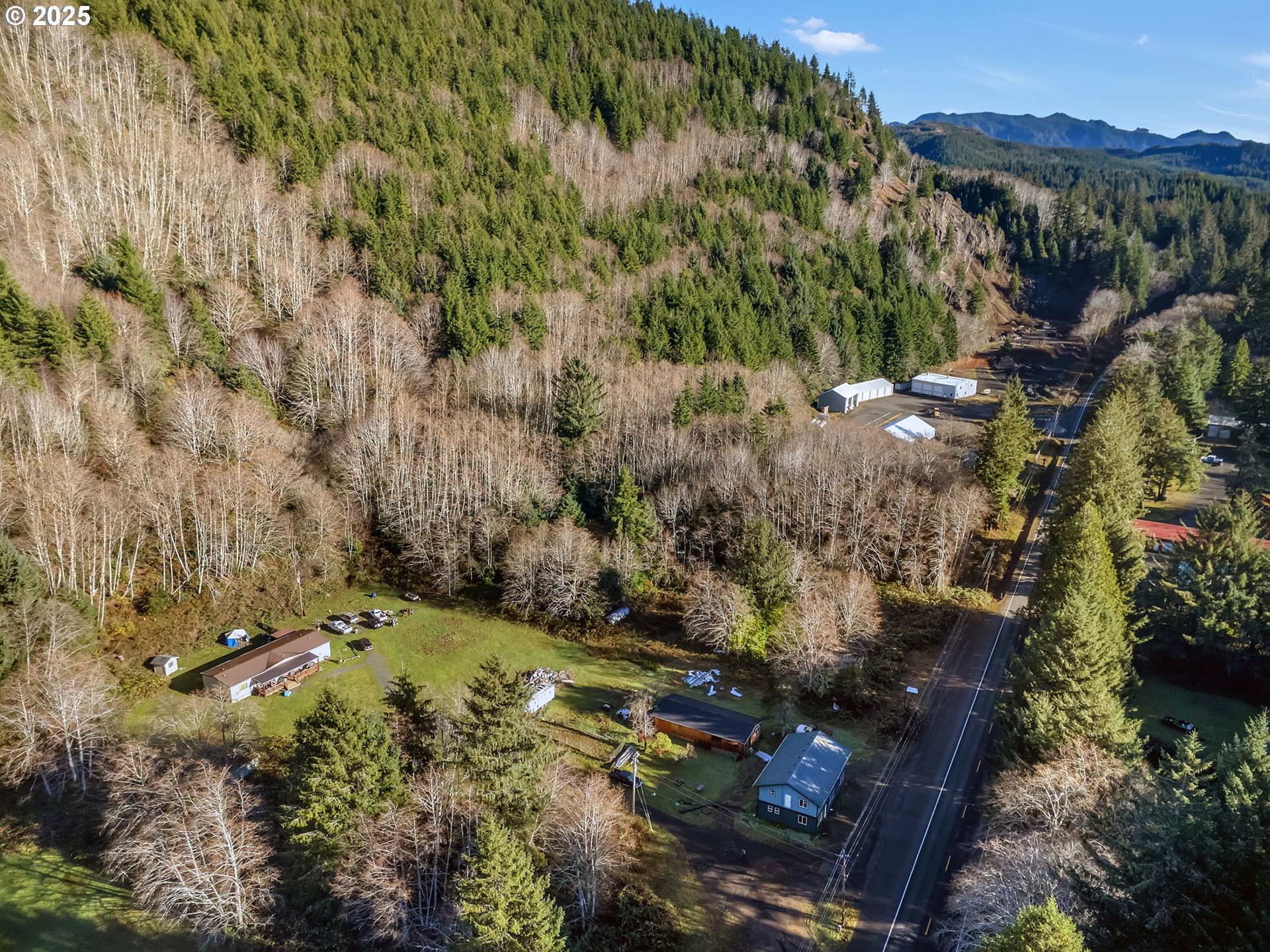36375 Sunset Highway Seaside, OR 97138 - Photo 14 of 19 a view of a yard with plants and large trees
