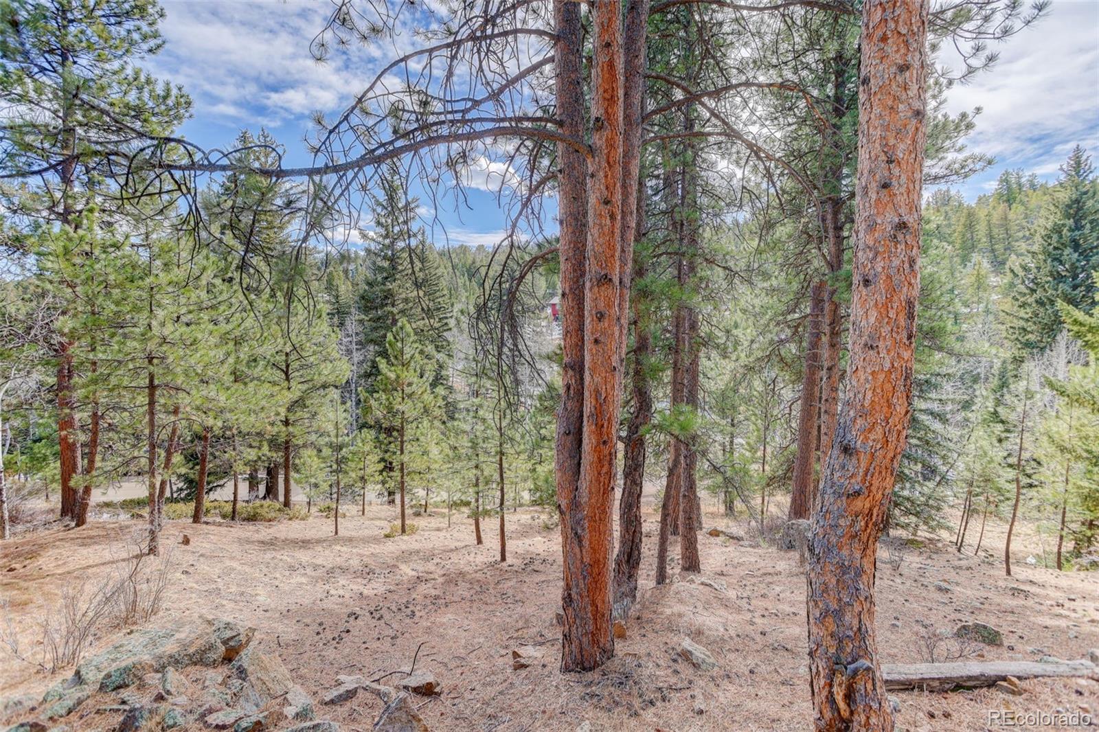 6346 King Road Evergreen, CO 80439 - Photo 41 of 49 Gallery Image 41