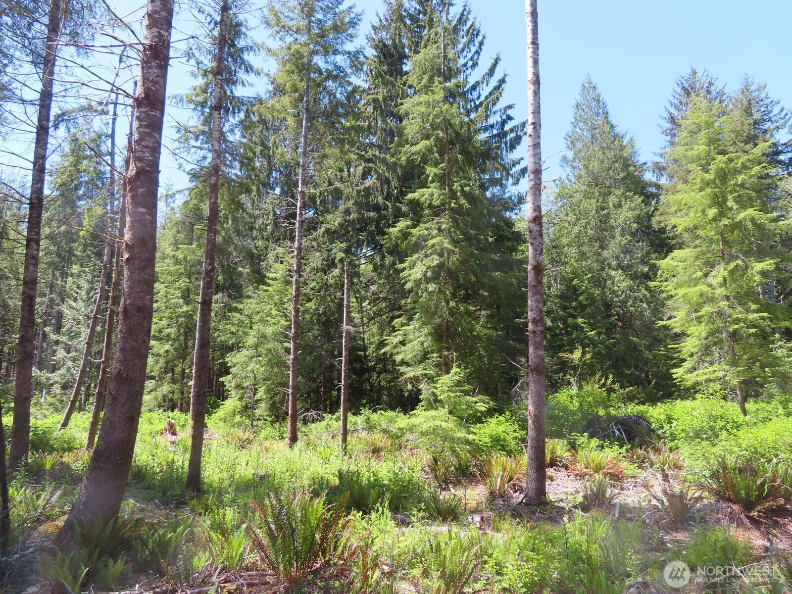 1515 Kirkpatrick Road Hoquiam, WA 98550 - Photo 12 of 37 Gallery Image 12